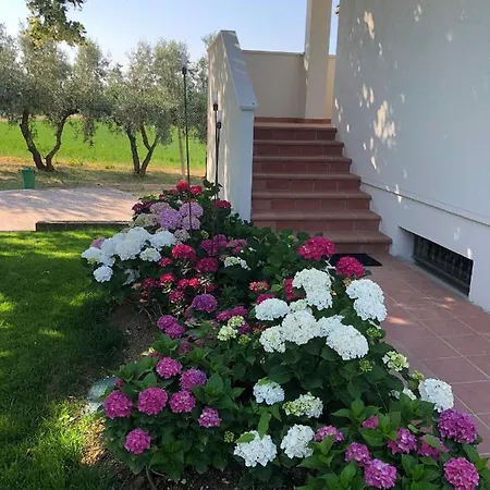 Barbara Villa San Giovanni in Marignano