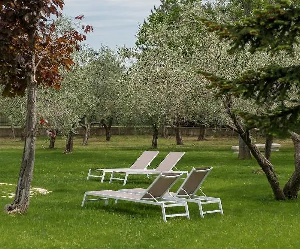 Barbara * San Giovanni In Marignano