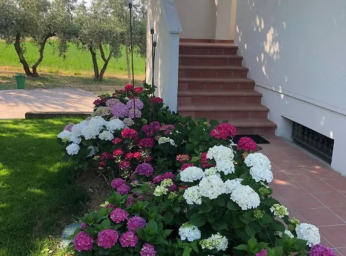 Barbara Villa San Giovanni In Marignano